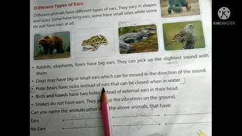 class 4 sub. evs ch 5 animals and their behaviours book reading