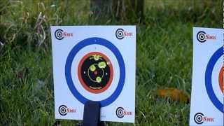 Theoben Rapid Mfr 177 Cal 60 Yards Target Shooting