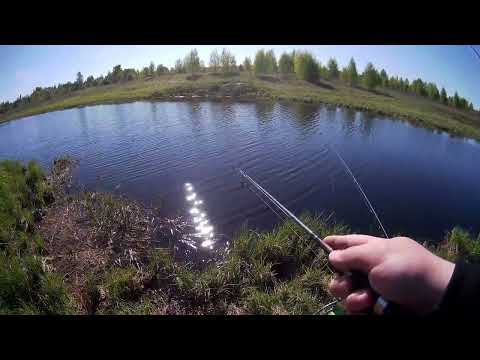 Ловля на донки в Тверской области | река Волга | Ловля леща