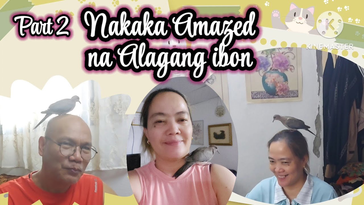 Part 2 May alagang ibon nakaka amazed - YouTube