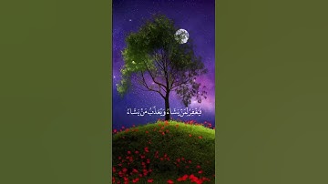 تلاوه طيبه بصوت القارئ🌱محمد حسين عامر رحمه الله #quran