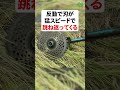 絶対にやってはいけない草刈り #shorts