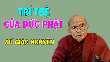 Trí Tuệ Của Đức Phật | Sư Giác Nguyên | Sư Toại Khanh