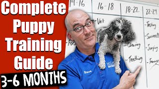 Your Complete Puppy Training Schedule 12  24 Weeks!