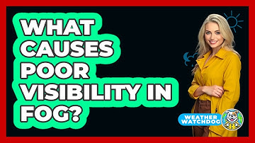 What Causes Poor Visibility In Fog? - Weather Watchdog