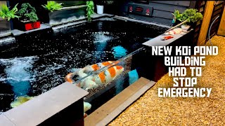 I HAD TO STOP BUILDING MY NEW KOI POND**EMERGENCY IN THE MAIN KOI POND**