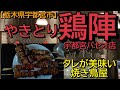 やきとり鶏陣でやきとりを食す【栃木県宇都宮市】【飯動画】【酒動画】