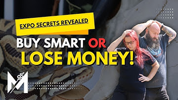 STOP! Don’t Buy Ball Pythons at an Expo Until You Watch This