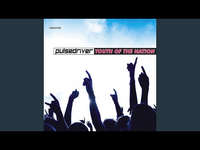 Pulsedriver - Youth Of The Nation