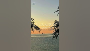 #القرآن_الكريم #اكسبلور #quran #المصحف #عبدالرحمن_مسعد #beautiful #لايك #تلاوة #تيك_توك #explore