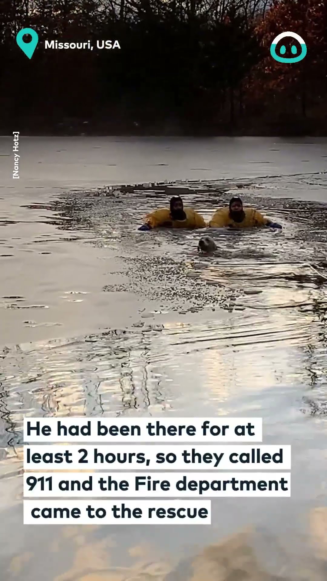Fire Dept Rescues Dog || ViralHog