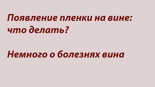 Пленка на вине и немного о других болезнях вина