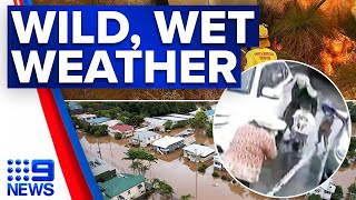 Flooding, fire dangers, severe storms alerted in wild weather forecast | 9 News Australia