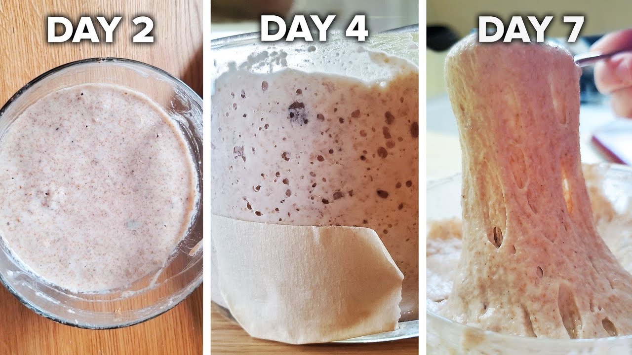 How To Make A Sourdough Starter From Scratch  Tasty