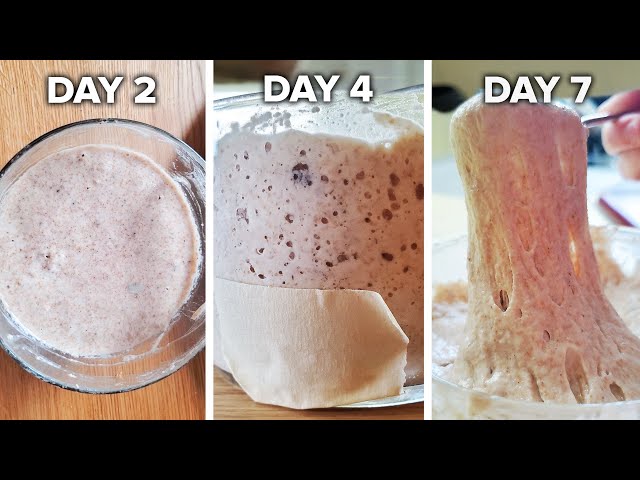 How to create a sourdough starter from scratch – Sourdough Supplies