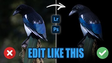 Low-Key Wildlife Editing Made Easy | Lightroom and Photoshop Walkthrough