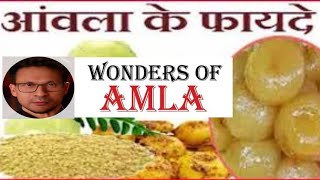 आंवला के फायदे | Wonders Of Amla ?|  Benefit Of Amla or Gooseberry | @tubershowtime