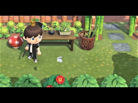 Video: Daftar Bug Animal Crossing: Semua Harga Bug, Lokasi, Dan Cara Menangkap Bug Langka Dijelaskan