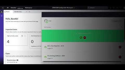 Using the IVR System on Service Now 2