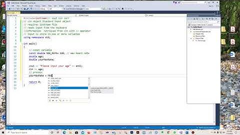 Programming with C++ cin object and constants