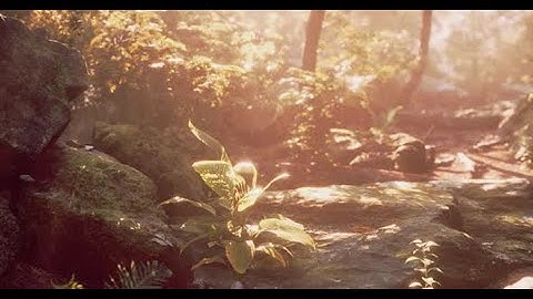 Rays of the Sun Through Palm Leaves | Motion Graphics template - Envato elements