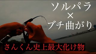 荒川で釣りしていたらソルパラぶち曲がりして筋肉痛になった