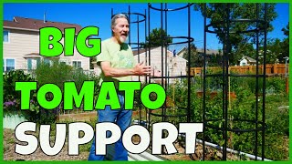 How to Use Tomato Cages