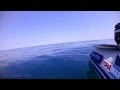 Slow jig with sabiki rig in Black sea