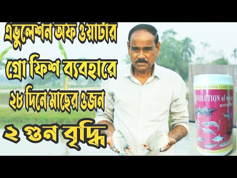 ভিডিও: সবচেয়ে আকর্ষণীয় কৌতুক