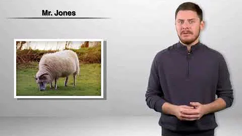 What does Mr. Jones represent in Animal Farm?