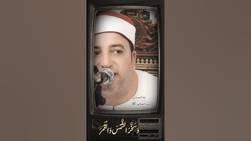 سورة العنكبوت الاية 61