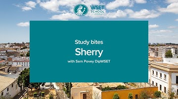 Study bites: Sherry (WSET Level 3 wine)