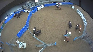 Big Sky Ranch Sorting Saddle Series #6 - Open - Round #1 - Ride #30