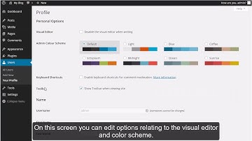 HOW TO EDIT YOUR USER PROFILE IN A WORDPRESS BLOG?