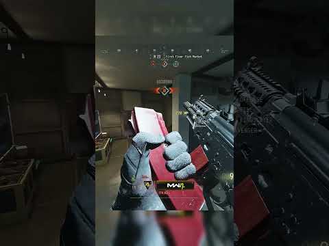 This MW4 KASTOV 762 Build Feels Like an SMG!
