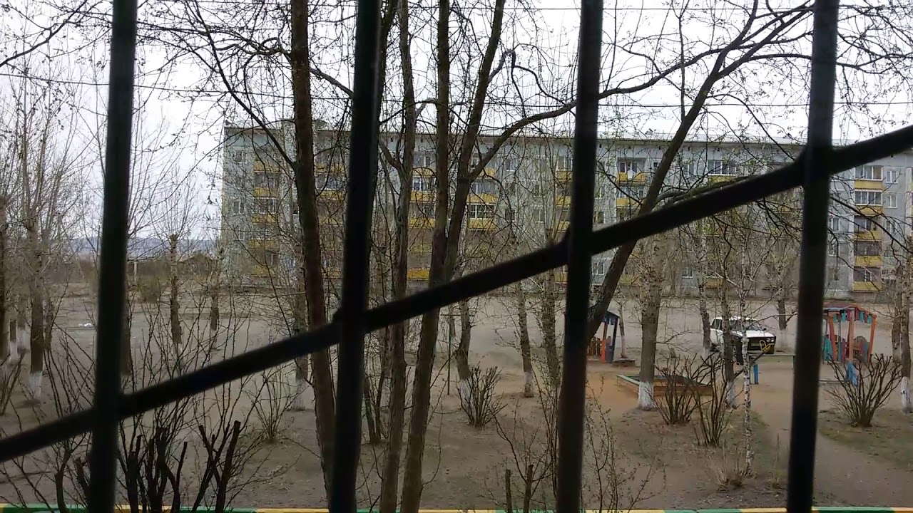Газель в чите