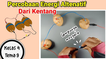 Percobaan Energi Alternatif Dari Kentang || SBDP Kelas 4 Tema 9