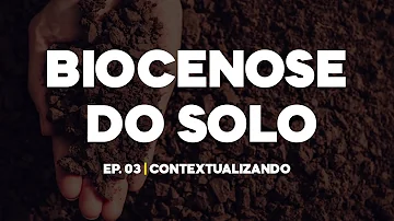 O que significa o termo biocenose?