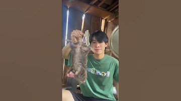 Bữa cơm 0 đồng #xuhuong #gianglutv