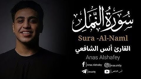 ما تيسر من سورة النمل ❤️ | تلاوة هادئة 😴 | القارئ انس الشافعي