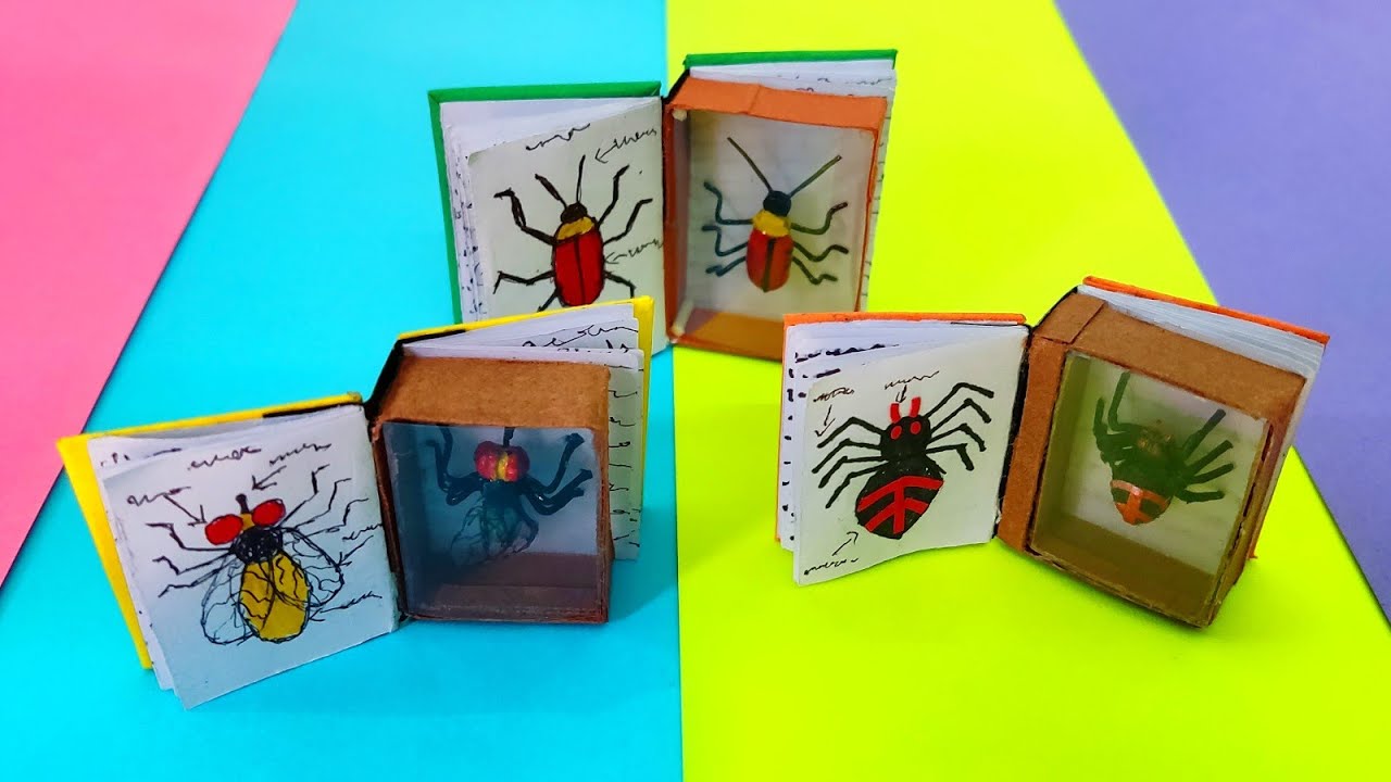How to make a paper insect book | Paper bug | Miniature bug book - YouTube