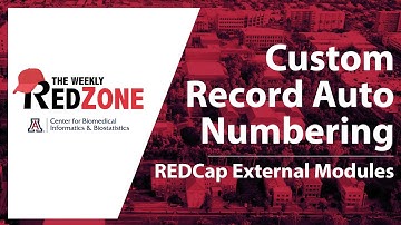 REDZone - Custom Record Auto Numbering
