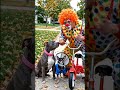 Clown Aur Cute Dogs Ka Funny Scene 😂🐶 #shorts #viral