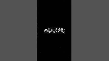 تلاوة نادرة تأسر الأرواح💝 قالوا يا أبانا ما لك لا تأمنا على يوسف… | محمد صديق #المنشاوي 🎧 #قرآن #نهج