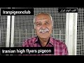 مصاحبه با آقای محسن سید حسینی محسن سلمونی از کاشان Iranian High Flyers Pigeon کلوپ کبوتر ایران