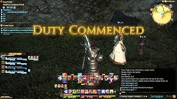 Final Fantasy XIV A Realm Reborn PS4 - Strange Bug