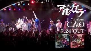 アルカラ - 『ネコフェス2014 -KUDAKENEKO ROCK FESTIVAL 2014-』 (Trailer)