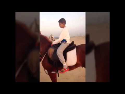 الخي ال خالد سليمان ناصر المرشود