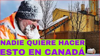 Te Pagan por Trabajar Haciendo Esto en Canadá ! | DesafioTorontoJC