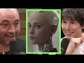 Is Brian Cox Scared of Artificial Intelligence? | Joe Rogan